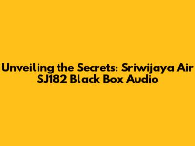 Unveiling the Secrets: Sriwijaya Air SJ182 Black Box Audio