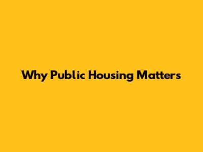 Why Public Housing Matters