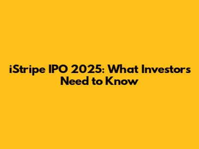 iStripe IPO 2025: What Investors Need to Know