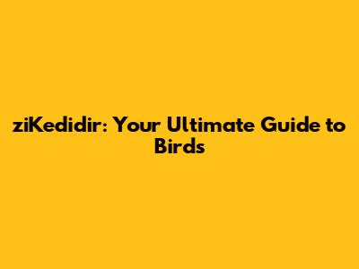 ziKedidir: Your Ultimate Guide to Birds